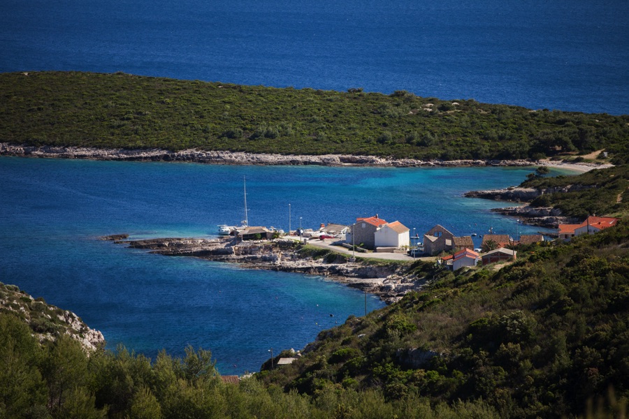 Vis tafra 023